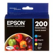 Epson 200 Black and Color DURABrite Ink Combo Pack