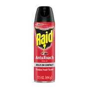 Raid Ant & Roach Killer 26, Outdoor Fresh Scent, 17.5 oz