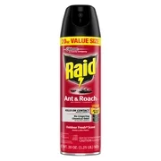 Raid Ant & Roach Killer 26, Outdoor Fresh Scent, 20 oz
