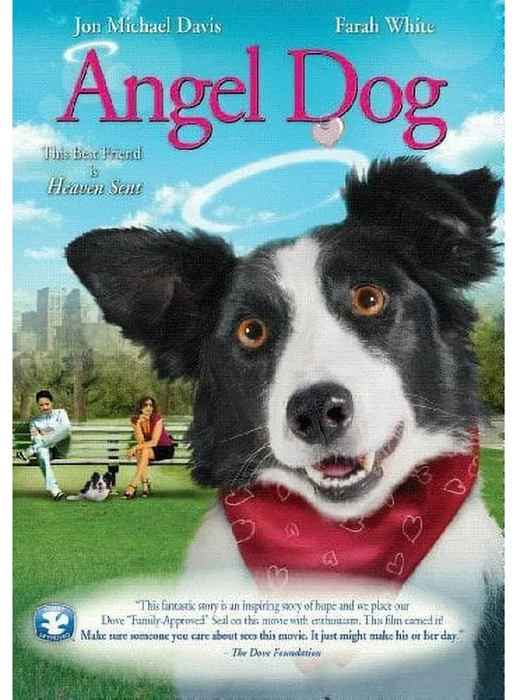 Gaiam Americas Angel Dog [dvd]