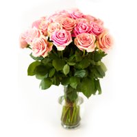 Pink Roses Flower Bouquet - 12 Pink Roses Long Stem - 1 Dozen Roses - Beautiful Pink Roses Delivery - Luxury & Fresh Roses - Birthday & Anniversary Roses (Any Occasion)