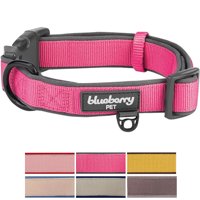 Blueberry Pet Soft & Comfy Made Well Classic Neoprene Padded Dog Collar, Muted Red-Violet, Medium, Neck 14.5"-20"