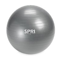 SPRI Weighted Ball, 65CM