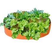 100 Gal Fabric Raised Plant Bed Garden Flower Planter Elevated Vegetable Box Planting Grow Bag Nursery Bag for Home Gardening, Greening Project