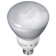 GE Lighting 78950 Energy Smart CFL 15-Watt (65-watt replacement) 650-Lumen R30 Floodlight Bulb with Medium Base, 1-Pack
