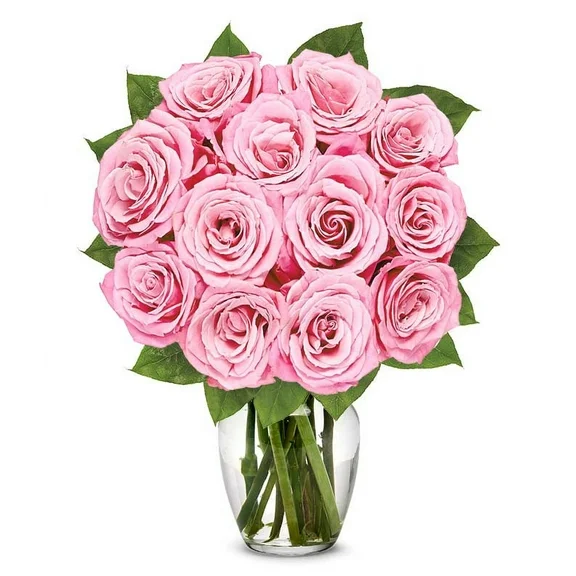 From You Flowers - Classic Light Pink Rose Bouquet with Glass Vase (Fresh Flowers) Birthday, Anniversary, Get Well, Sympathy, Congratulations, Thank You