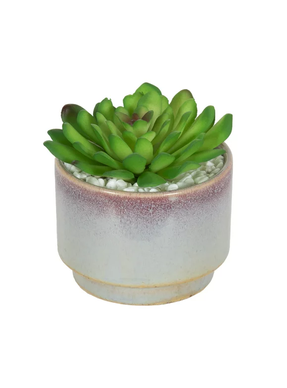 Mainstays 3.9" Artificial Crassula Ovata Succulent Plant in Multi-Color Ceramic Pot