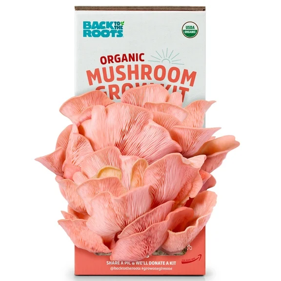 Back to the Roots Organic Pink Oyster Mushroom Grow Kit