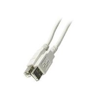506-456 STEREN 6FT A-B USB CABLE VERSION 2