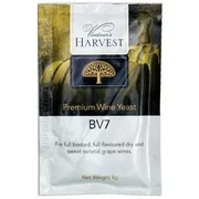 BV7 Vintners Wine Yeast - 6 Pack
