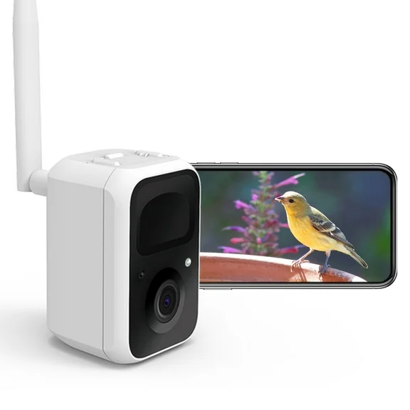 Birdfy Camera Smart Bird Camera for Wild Bird Watching and Recording, White, 1 Pack
