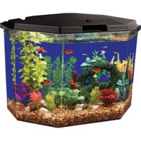 Aqua Culture 6.5-Gal Semi-Hex Aquarium Kit with LED Lighting