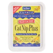 15.75 oz (3 x 5.25 oz) Gimborn CatAbout CatNip Plus Easy Grow Kit