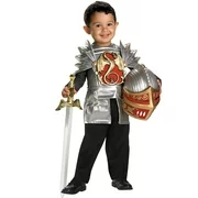 Knight of The Dragon Child Halloween Costume, One Size, 3T-4T