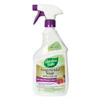 Garden Safe Insecticidal Soap Insect Killer Ready-to-Use, 24 Oz.