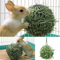 Fashion Sphere Feed Dispense Exercise Hanging Hay Ball Guinea Pig Hamster Rabbit Pet Toy ( no grass )