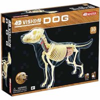 4D Vision Full Skeleton Dog Model