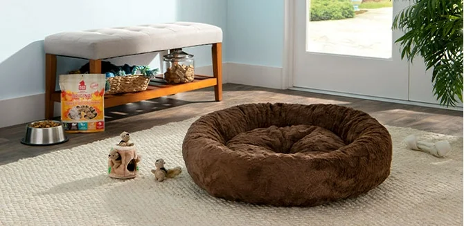 Shop cute and cozy fall supplies for your dog