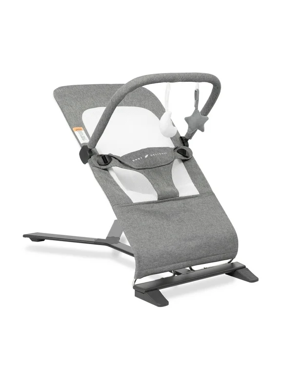 Baby Delight Alpine Deluxe Portable Baby Bouncer, for Infants 0-6 Months, Charcoal Tweed