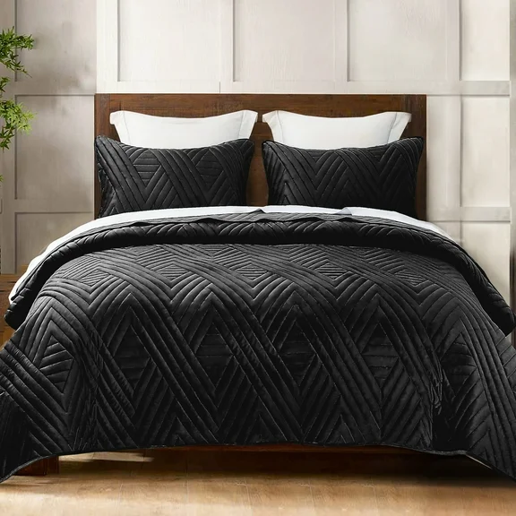 Exclusivo Mezcla Super Plush Velvet Quilts Queen Size with Pillow Shams, Luxury Soft Reversible 3 Piece Bedspreads Coverlet Comforter set for all seasons, Lightweight and Warm, Black