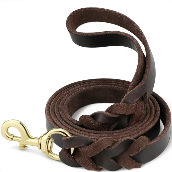 Joytale Leather Dog Leash, Genuine Cowhide Braided Pet Leash for Small Dogs, 4ft x 5/8in, Brown