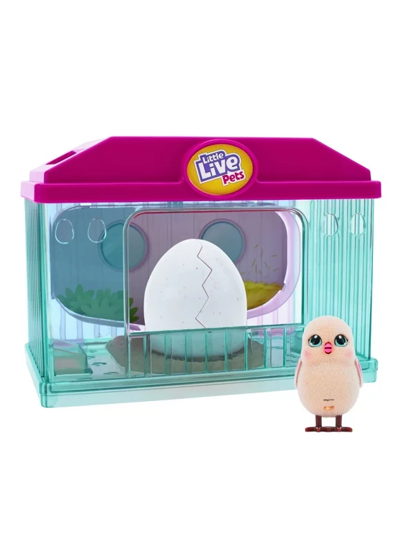Little Live Pets, Surprise Chick Blue Hatching House with Chick, Styles and Colors May Vary, Ages 5+