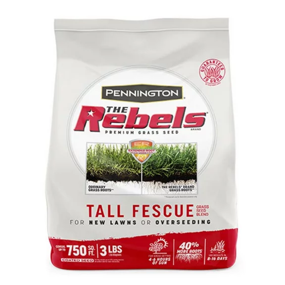 Pennington Rebels Tall Fescue Grass Seed, for Sun to Partial Shade, 3 lb.