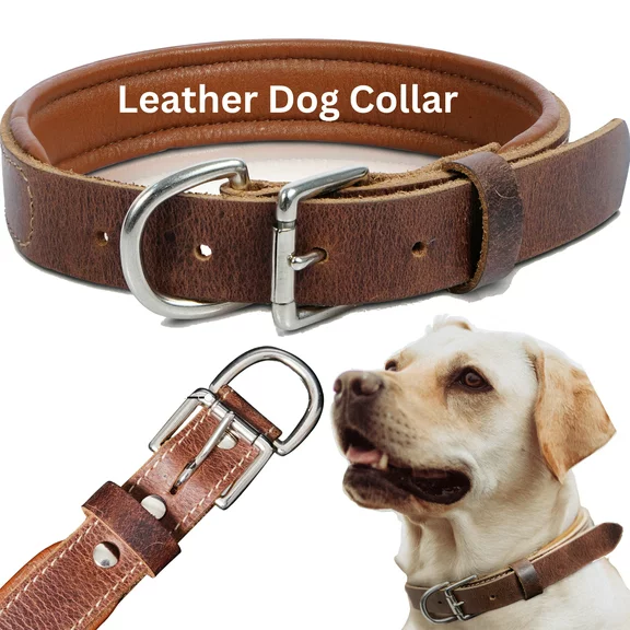 RAWHYD Adjustable Leather Dog Pull Collar, Padded Collar for Medium Dogs and Large Dogs Leather Collar, Bourbon Brown