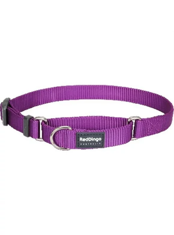 Red Dingo  Martingale Dog Collar Classic Purple, Small